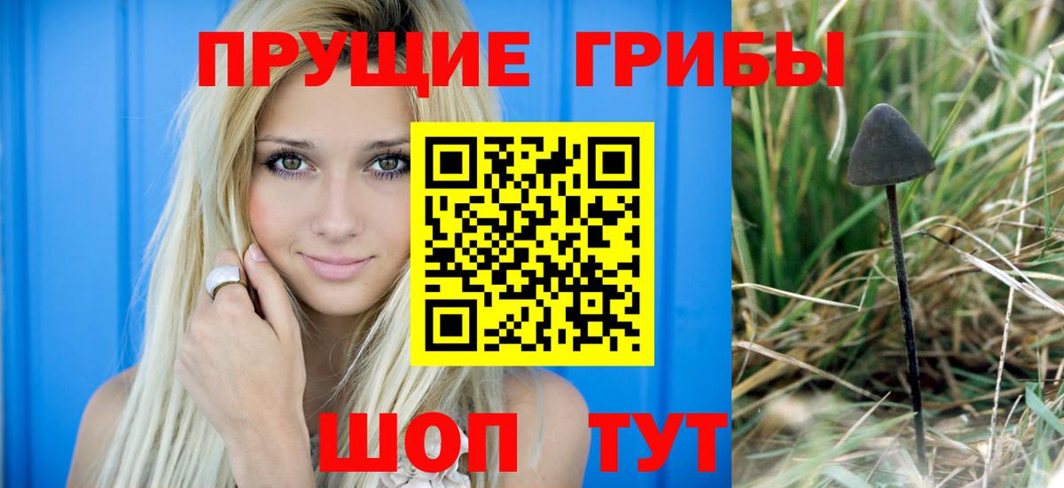 Галлюциногенные грибы мухоморы Новодвинск