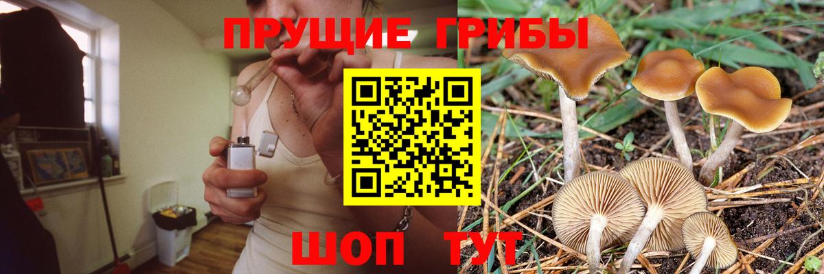 Псилоцибиновые грибы ЛСД  Галлюциногенные грибы прущие грибы  Вход с VPN  купить наркотики цена  Новодвинск 