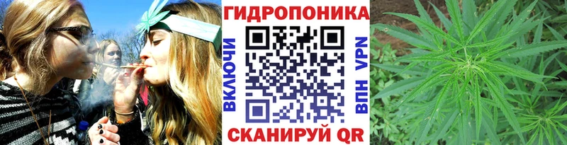 Шишки марихуана марихуана  Новодвинск 